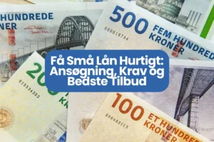 Få Små Lån Hurtigt: Ansøgning, Krav og Bedste Tilbud