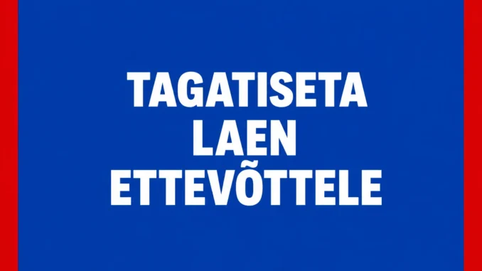 Tagatiseta laen ettevõttele