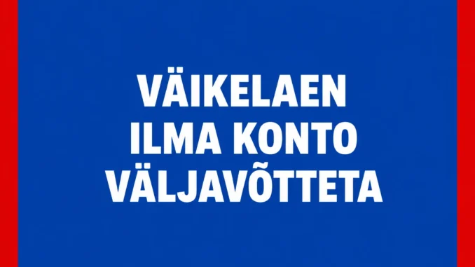Väikelaen ilma konto väljavõtteta